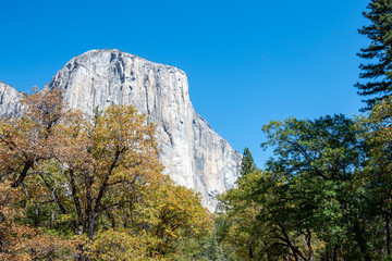 Famous El Capitan Mountain in Yosemite National Park in California, USA