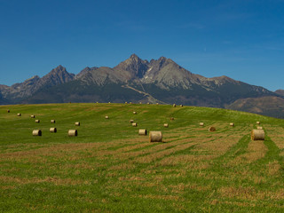 Beautiful summer panorama over Spisz highland with sheaves of hay to Tatra mountains, Poland