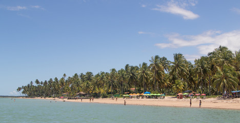 Porto de Pedras / Alagoas / Brazil. March, 01,2020. Natural pools on Patacho beach.