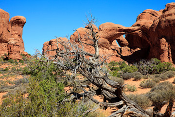 Moab, Utah / USA - August 18, 2015: Rock formation and landscape at Arches National Park, Moab,...