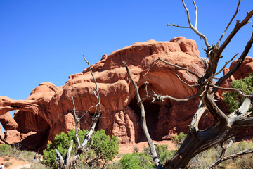 Moab, Utah / USA - August 18, 2015: Rock formation and landscape at Arches National Park, Moab,...