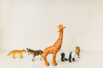 Obraz premium children's toys animals stand on a shelf a giraffe, panda, donkey, fox and owl