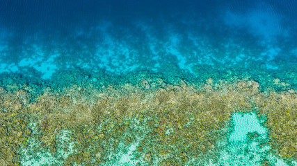 Aerial view: blue sea and coral reef