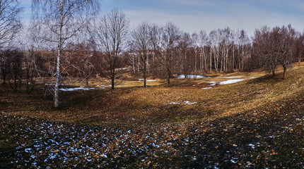 Park landscape.Spring landscape in the park of the estate of the Pushkin family. Visible trees with...