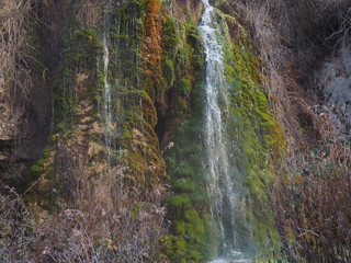 Cascada en la montaña, sobre musgo y otras plantas, multicolor.