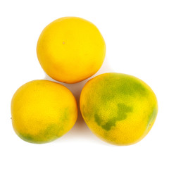 three green-green grapefruit on a white background. Isolate