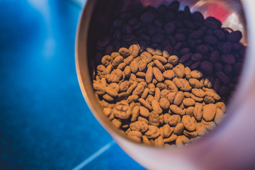 Raw chocolate beans in a container or cup. Blue background