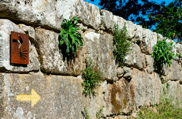 compostela pilgrim symbol on old stone wall