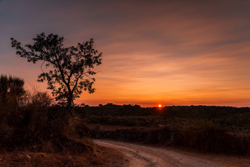 beautiful colourful sunset at portugal