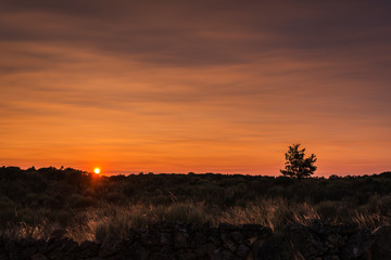 beautiful colourful sunset at portugal
