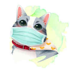Gray-white cat wearing a mask vector illustration. There are abstract splash green watercolor in the background. Used for element, clipart, decoration, logo, wallpaper and sticker, etc.