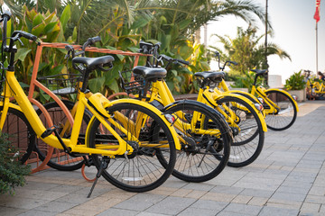 Many yellow bicycles in the parking lot
