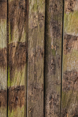 Textura Madera