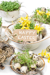Easter home decoration quail eggs forsythia flowers still life