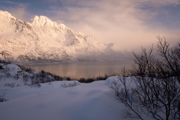 peaks of norway in lofoten islands. near to svolvaer town. ambient light after heavy snow in the fjord. soft light and very calm atmosphere. clouds and fog making the right vibe of the picture