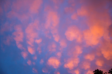 clouds in the sunset