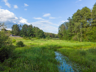 Fototapeta na wymiar Small forest river on a summer day