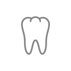 Human tooth line icon. Healthy internal organ symbol