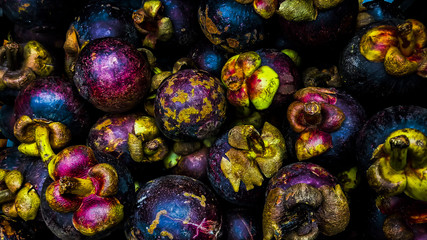 colorful easter eggs