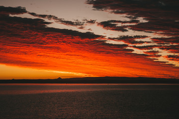 Amazing landscape at sunset in australia perfect sun in horizont with palm and sea © Alvarom.Photo