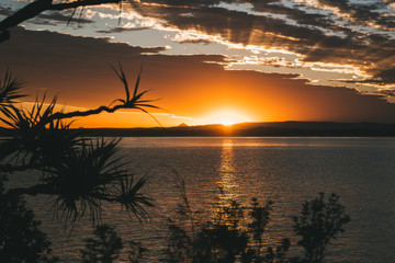 Amazing landscape at sunset in australia perfect sun in horizont with palm and sea © Alvarom.Photo