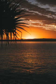 Amazing landscape at sunset in australia perfect sun in horizont with palm and sea © Alvarom.Photo