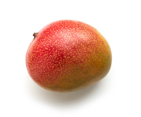 fresh ripe mango fruit
