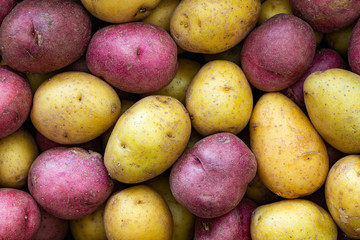 Close up of red and yellow bite size potatoes