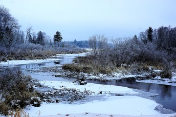 Winter Scene