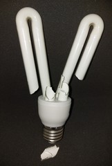 energy saving light bulb The bulb came out of the polarity


