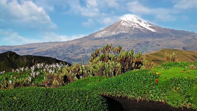Chimborazo volcano, highest place on earth. Ecuador