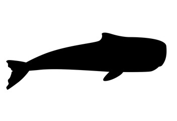 Whale. Sperm whale black silhouette - huge animal from the ocean - vector illustration for logo or sign. Sperm whale - marine mammal inhabitant of the underwater world logo or pictogram.