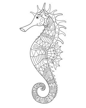 Seahorse - an inhabitant of the ocean - vector antistress coloring book. Seahorse fish with marine pattern for coloring. Outline. Linear picture about life in the ocean.