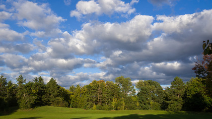 Scenic view of the park with green trees and grass field in city and a cloudy blue sky background