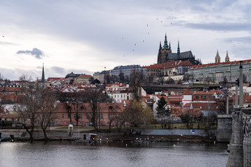 Fototapeta premium charles bridge and prague castle