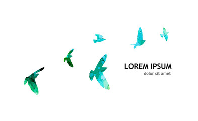 Multi-colored birds. A flock of flying rainbow birds. A lot of soaring birds. Mixed media. Vector illustration