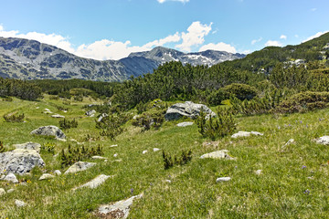Fototapeta na wymiar Landscape with near The Fish Lakes, Rila mountain