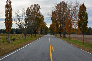 Fototapeta premium Rural country back road on the Northern Neck of Virginia. Taken during autumn with colorful leaves on the trees. 