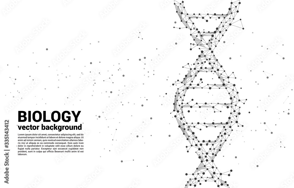 Poster vector DNA genetic structure from dot connect line polygon. background concept for biotechnology and biology scientific.