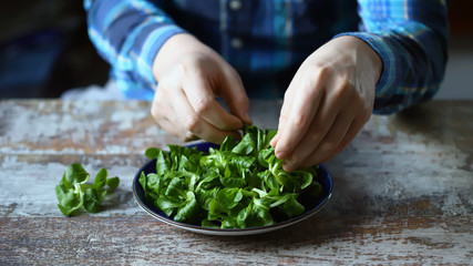 Selective focus. Men's hands holding a fresh salad mash over the plate.
