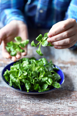Selective focus. Men's hands holding a fresh salad mash over the plate.