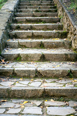 outdoor stone stairs with yellow leaves and green moss