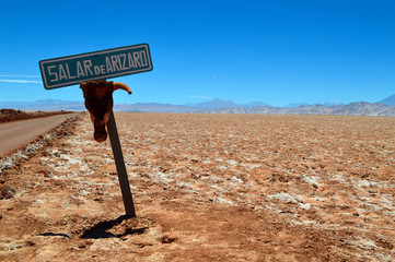 Arizaro salt flat in Salta