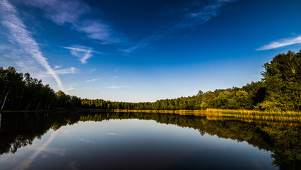 reflection of trees in water