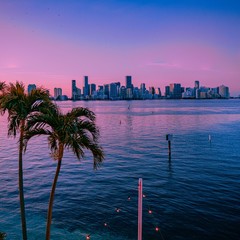 Fototapeta premium panoramę miasta miami wodny śródmieście wieżowiec budynki architektura palmy morze miejskie niebo krajobraz panorama wrażenia piękny zachód słońca na florydzie