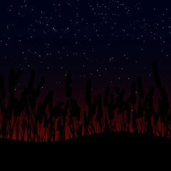 Obraz na płótnie Canvas Grass on the night sky