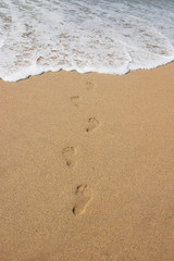 Fototapeta na wymiar Footprints in the sand at the beach.
