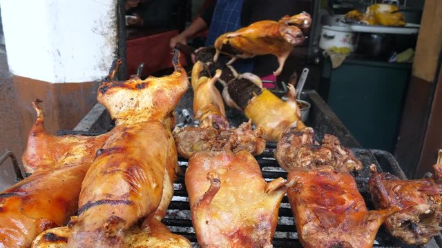 Roasting guinea pigs in the Ecuadorian highlands, Known locally as Cuy, guinea pigs are a delicacy in Andean countries