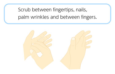 正しい手の洗い方