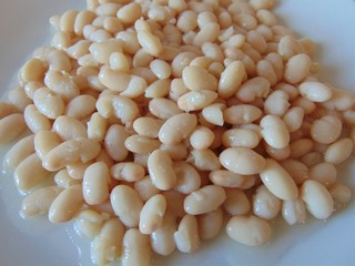 Cannellini beans on a plate, background. Boiled white beans isolated, close up, Italian food.
